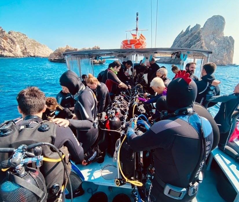 WhatsApp Image 2024-03-22 at 21.13.20 (1)