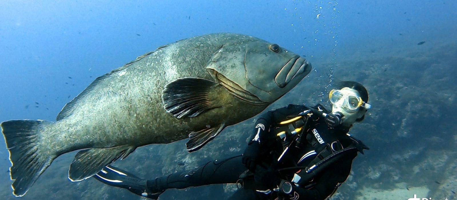 WhatsApp Image 2024-03-22 at 21.15.31