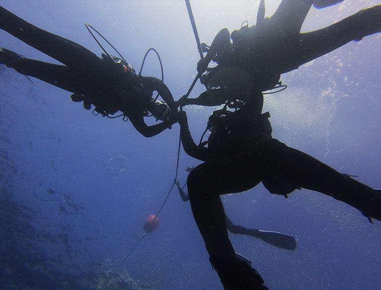 sortides-palamos-platja5-2020-web